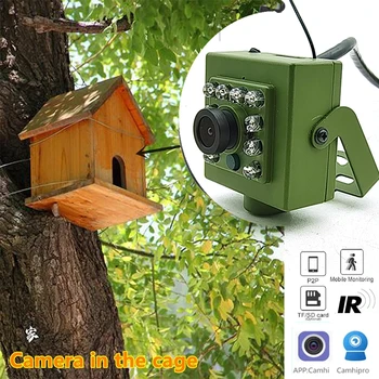 Camhi Zelené Wifi Pták Box Kamera 2MP 5MP IMX335 IMX307 HD Audio Video 940nm IR Noční Vidění Bezdrátové Birdhouse IP Kamery RTSP Soupravy