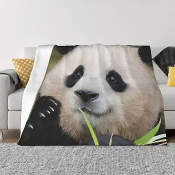 FuBao Fu Panda Bao Deku Zimě Teplo celoroční Komfort Hodit Přikrývky pro Ložnice Cestování Kempování