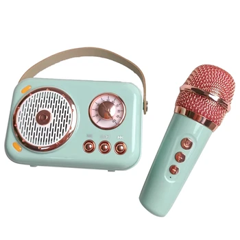 Rodina Venkovní dětské Karaoke Bluetooth Reproduktor Bezdrátový Mikrofon, Přenosné Karty Subwoofer s Vysokým Objemem