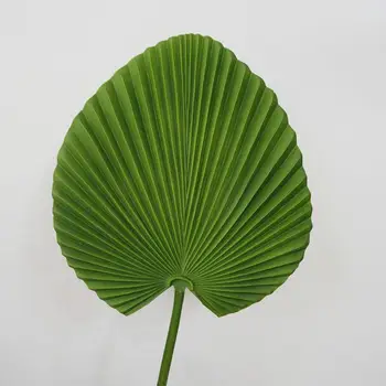 Umělý Palmový List Český Umělé 65cm Vysoký, Tropická Zeleň Listů pro Aranžování Květin Výzdoba